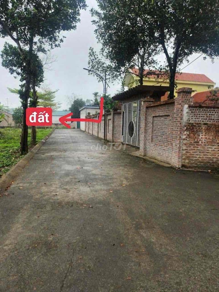 Cần bán đất 60,2m2; 2,45 tỷ Đồi Sen, Bình Yên, Hà Nội oto tránh