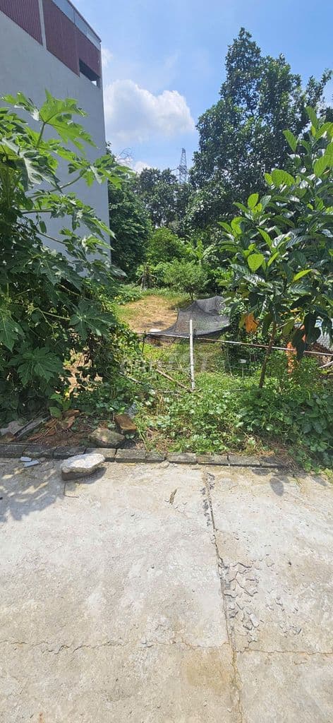 ✨️✨️ Bán 115m2 Đất Ngọc Trì, Kim Hoa – Đầu tư cực đỉnh – Gần KCN