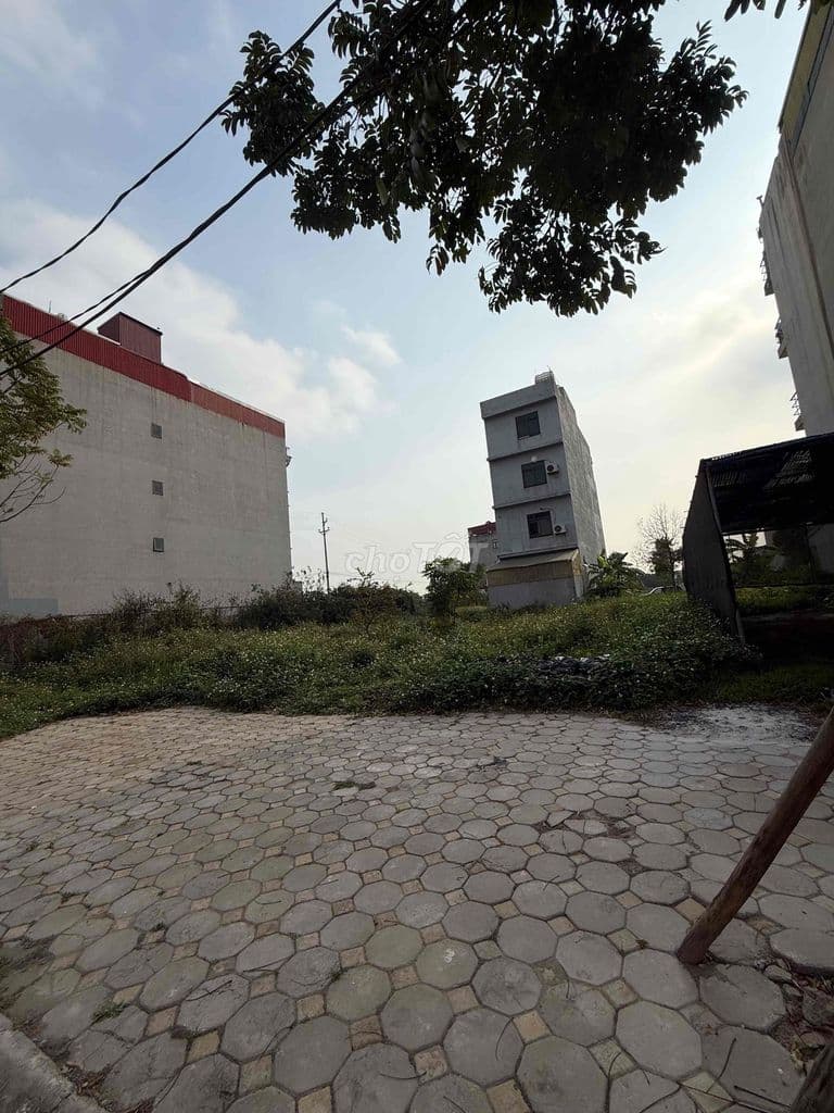 Bán đát nền dự án Thanh Hà - đất liền kề khu B1.4 - Ảnh 2