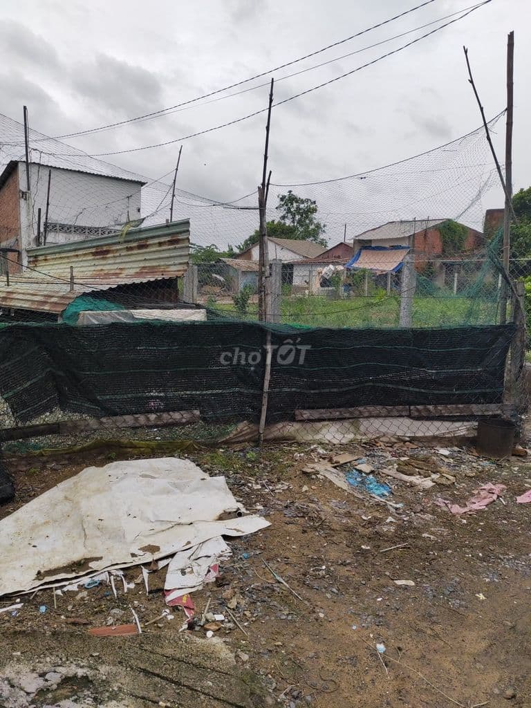 Đất xã Bình Chánh 5m x 20m, sổ hồng riêng. - Ảnh 3