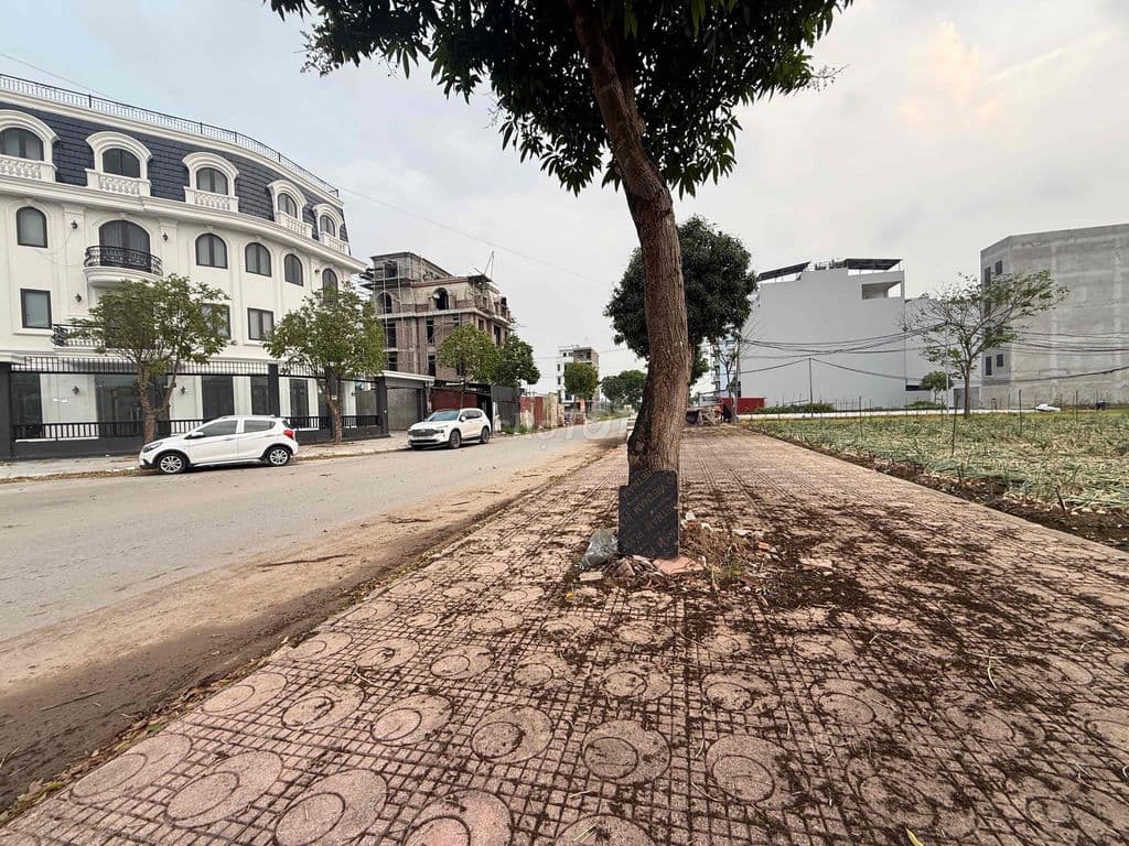 Bán đất liền kề khu đô thị Cienco5