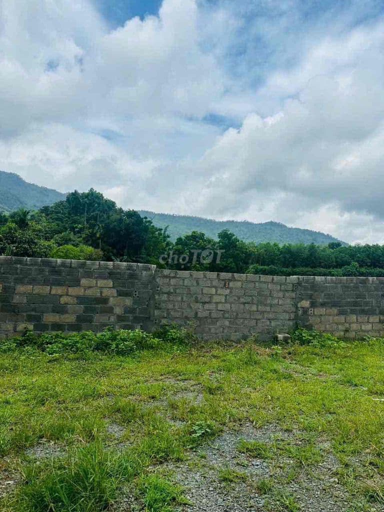 BÁN LÔ ĐẤT NGHỈ DƯỠNG THÔN TRÁN VOI - LÔ GÓC - 1007m2 -8,6 Tỷ - Ảnh 3