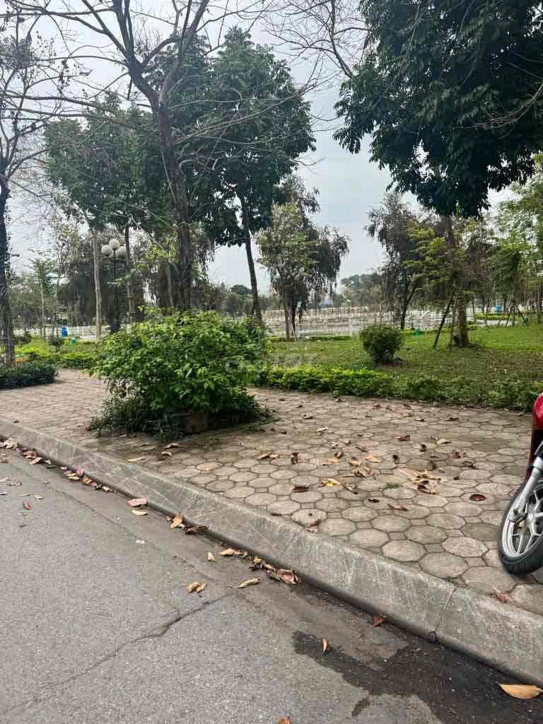 🌟 MẢNH ĐẤT CỰC ĐẸP THANH AM – Ô TÔ TRÁNH – NGÕ THÔNG TỨ PHÍA – TIỀM NĂ - Ảnh 3