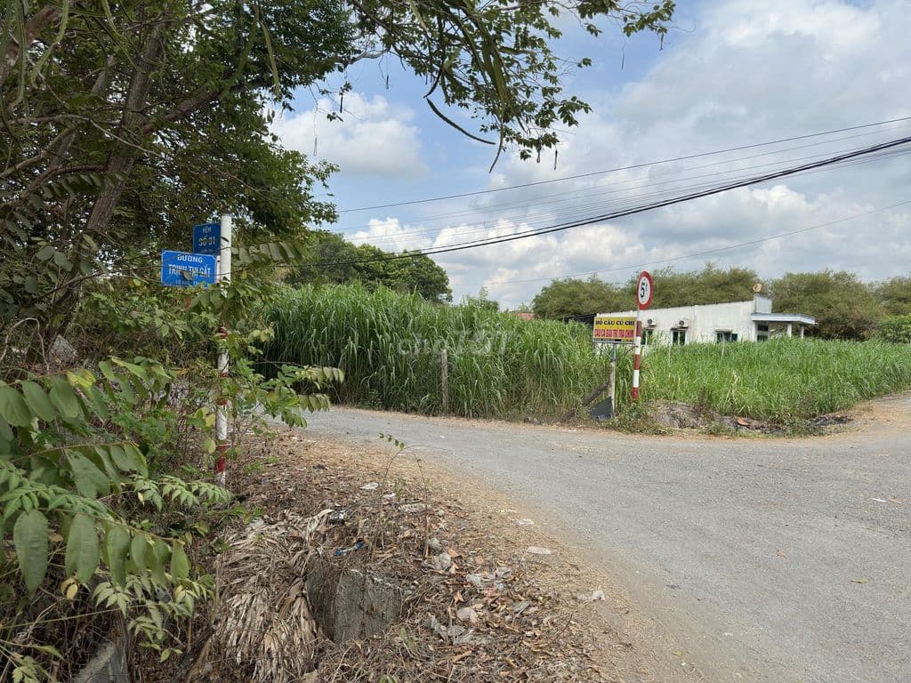 ĐẤT NGỘP CẦN BÁN GẤP 750TR !!! - Ảnh 2