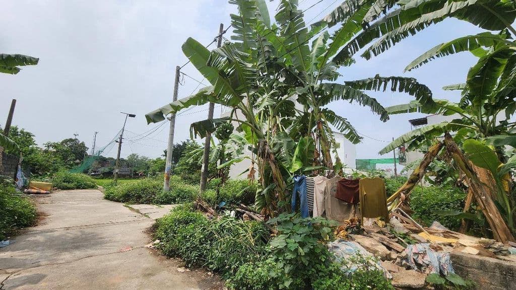 ĐẤT ĐẤU GIÁ PHÚC THÀNH BIÊN GIANG, 52,5 M, MT5M, GIÁ 3,4 TỶ