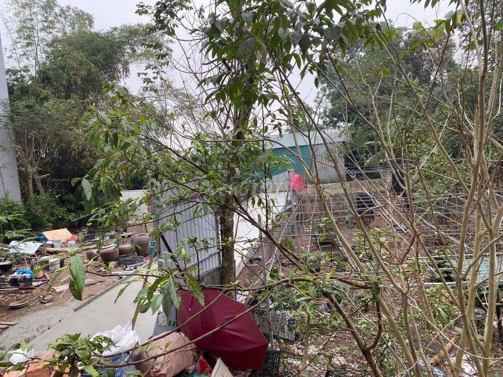 Bán 79,5m Xóm bãi Cao Viên Thanh Oai Hà Nội Giá Rẻ - Ảnh 2