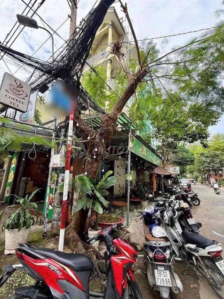 CẦN SANG LẠI QUÁN CÀ PHÊ ĐANG HOẠT ĐỘNG TỐT CĂN GÓC - Ảnh 3