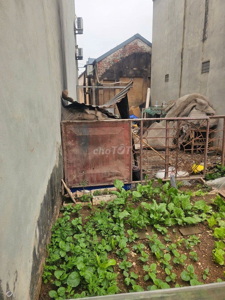 ĐẤT TỔ 17 ĐỒNG MAI HÀ ĐÔNG, 41M, MT3,9M, GIÁ 2,92 TỶ - Ảnh 3