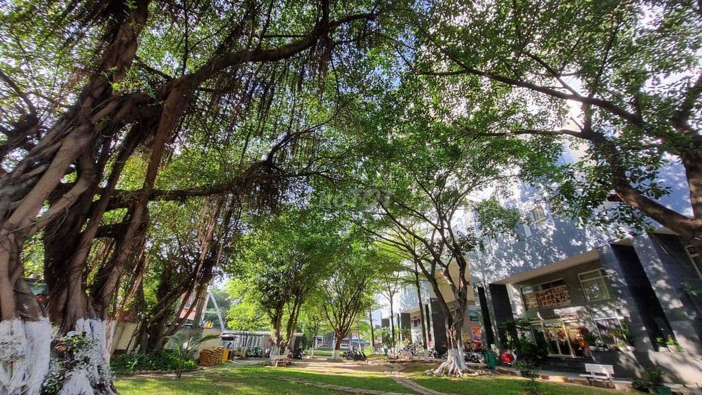 Cần cho thuê căn hộ chung cư Dreamhome, Gò Vấp - Ảnh 2