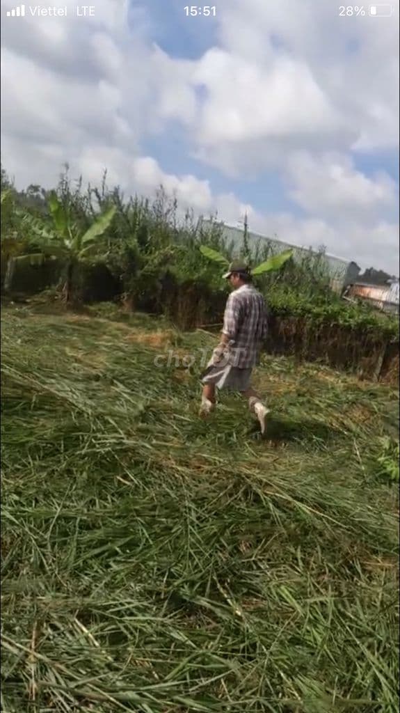 Cần vốn nên bán đất - Ảnh 3