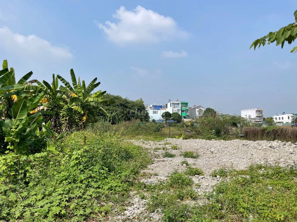 Đất thổ cư đường 8m thông Tân Xuân,4x20, 4.1 tỷ - Ảnh 2