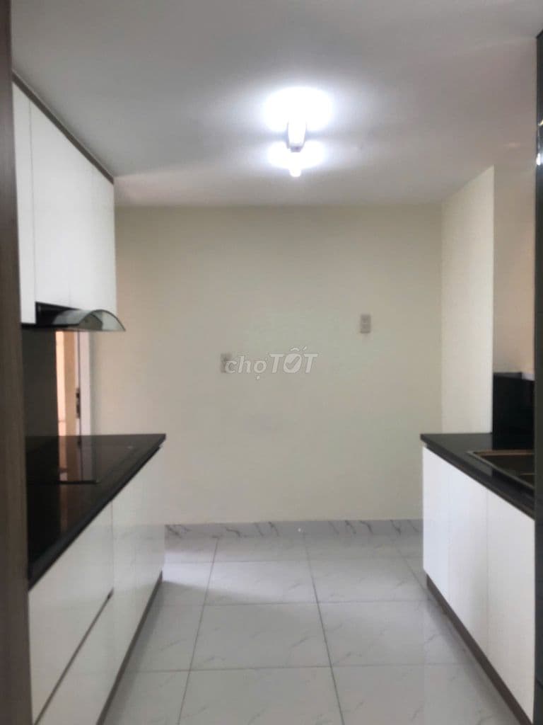 Cho thuê căn hộ MỸ PHÁT , 3PN , 137M2 , NTCB - 30TR PMH - Ảnh 2