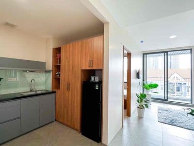 Căn hộ mini ngay Hoà Bình - Tô Hiệu đầy đủ nội thất bancol