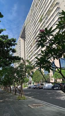 Diamond Lotus Riverside_1PN _VIEW TRỰC TIẾP SÔNG _RẤT ĐẸP_ GÍA CỰC TỐT
