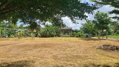 Bán đất thổ 134m2 Tân Trạch H. Cần Đước