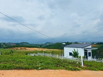 Bán Đất Mặt Tiền Đường Nhựa, 780 triệu, 204 m2, Nam Hà - Lâm Hà