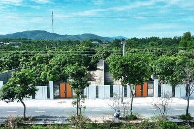 Vườn xoài thị trấn phước hải- gần biển phước hải - 10x50m