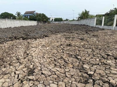 Đất mặt tiền vành đai TP Tân An/ TL834B/ Khu dân cư đông / Không ngập.