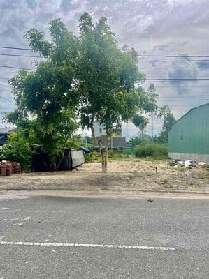 Đất đường Phan kế Bính sát khu công nghiệp Điện Nam Điện Ngọc