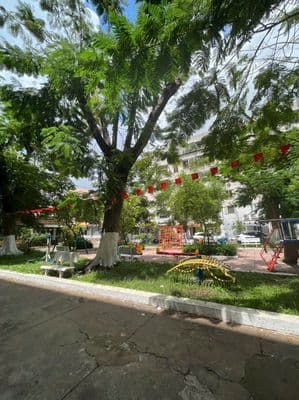 Bán Căn 2PN C.cư 43Hồ Văn Huê P9 PN 49m2 View công Viên 3,4tỷ (bl)