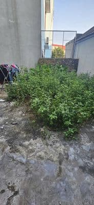 Bán 42,8m2 Thôn Đầm, Vân Nội – Nhỏ Tiền – Vị Trí Tiềm Năng