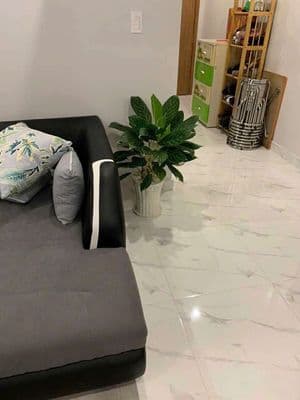 (8834)Star tower, 55,6 m2 sổ hồng, ngộp : 1,2 tỷ