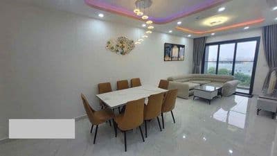Chuyên cho thuê căn hộ Diamond Alnata 2PN