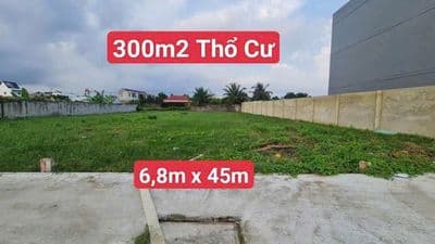 Đất thổ cư dt 300m2 tân kim Cần Giuộc