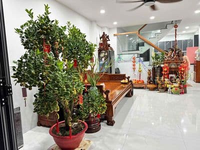 Bán Nhà Đường Trần Mai Ninh phường 12 Tân bình