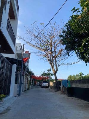 Đất đường Trần Hoành Khuê Mỹ Đà Nẵng