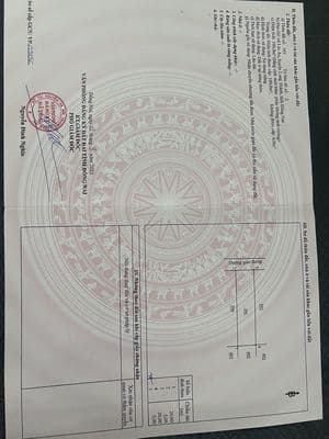 Bán đất nền 100m2 dự án STC Long Thành, kề sát sân bay Long Thành