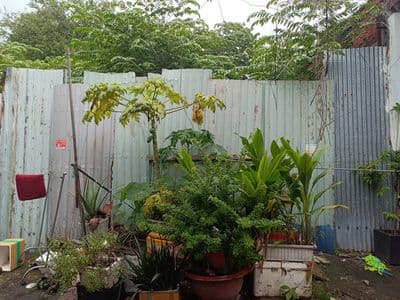 Bán lô đất thổ cư hẻm xe hơi hơn một trăm mét ngang 5m tiện xây mới