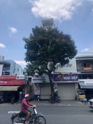 Cho thuê nhà mặt tiền đường thành thái quận 10