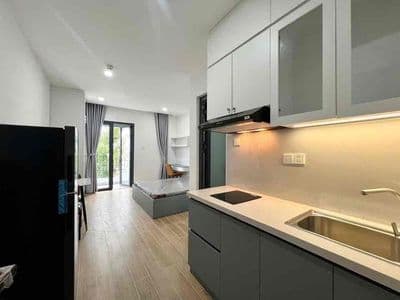 Căn Hộ Ban công Full NT Rộng 35m2 ngay Nhà Ga T3 - Tân Hải - Cộng Hoà