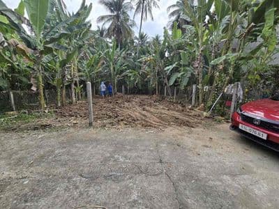 Bán đất full thổ cư 75m2 chỉ 295tr thị trấn Chợ Gạo Tiền Giang