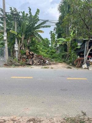 Đất mt thạnh quý 246m đường 12m kinh doanh
