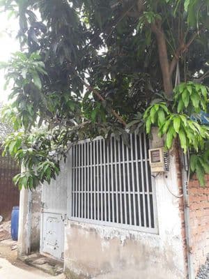 Nhà vườn Quách Điêu vĩnh lộc A