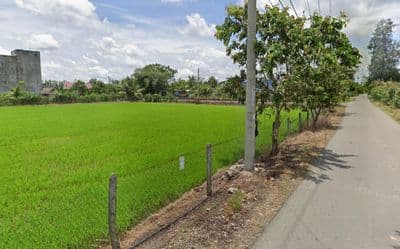 Mặt tiền Trung Hưng, diện tích 1.168m2, có 137m2 thổ, xã Thái Mỹ