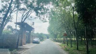 Bán đất Chánh Phú Hoà 13, Bình Dương