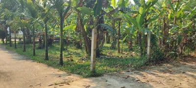 Bán nhà vườn diện tích rộng 1250m2 có 700m2 đất ở có sẵng vườn cây