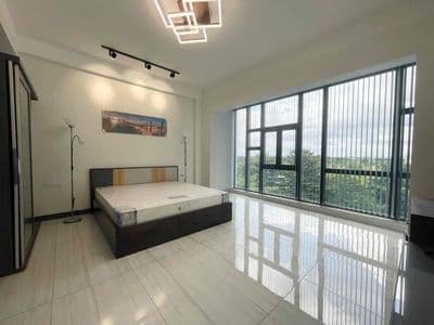 Căn Hộ Cao Cấp Full Nội Thất Ngay Tân Sơn Nhì - Vườn Lài - Gò Dầu