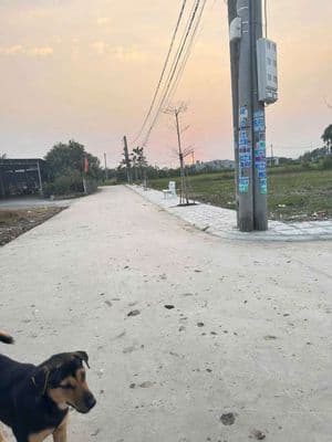 459tr 1 lô đất thổ cư sổ hồng riêng