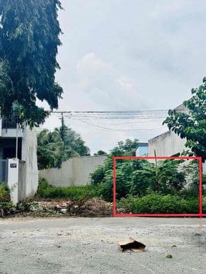 NỀN THỔ CƯ ĐƯỜNG NHỰA GIÁP PHƯỜNG 4 cũ- XÃ LONG PHƯỚC