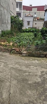 ĐẤT VUÔNG 58m2 Yên Nhân, Tiền Phong - Ô Tô Hiếm Có – Nhỏ Tiền
