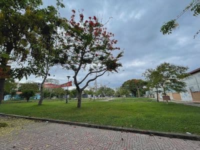 Bán 2 nền đất lô góc 121,5m2, sát công viên KDC Cao Lỗ, P.4, Q.8