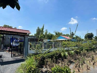 Bán Nhà vườn có dòng tiền 18tr/tháng