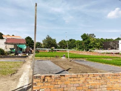 (Chính chủ) bán nhà vườn Hóc Môn 1.300m2 (300m2 thổ cư) -13 triệu/m2