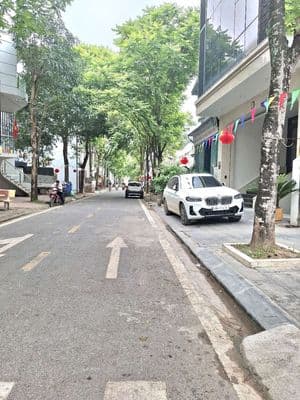 Bán đất đấu giá Thạch Bàn vỉa hè ô tô tránh kinh doanh cạnh Cổ Linh
