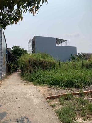 Đất Tứ Ngân Điện Ngọc 100m2