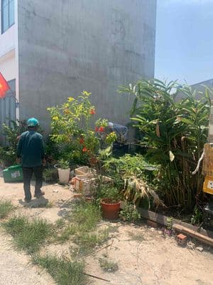 Đất TX22